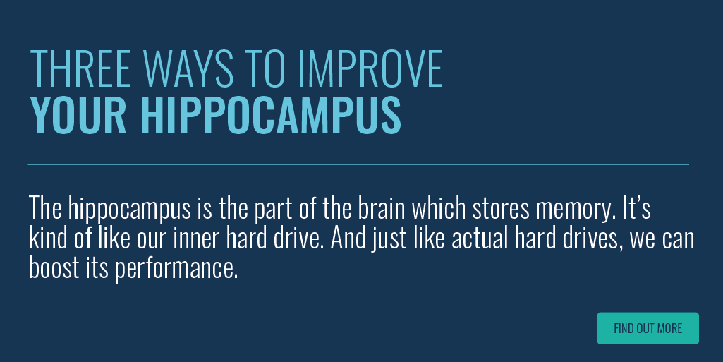 Three Ways To Improve Your Hippocampus Function Growth Engineering