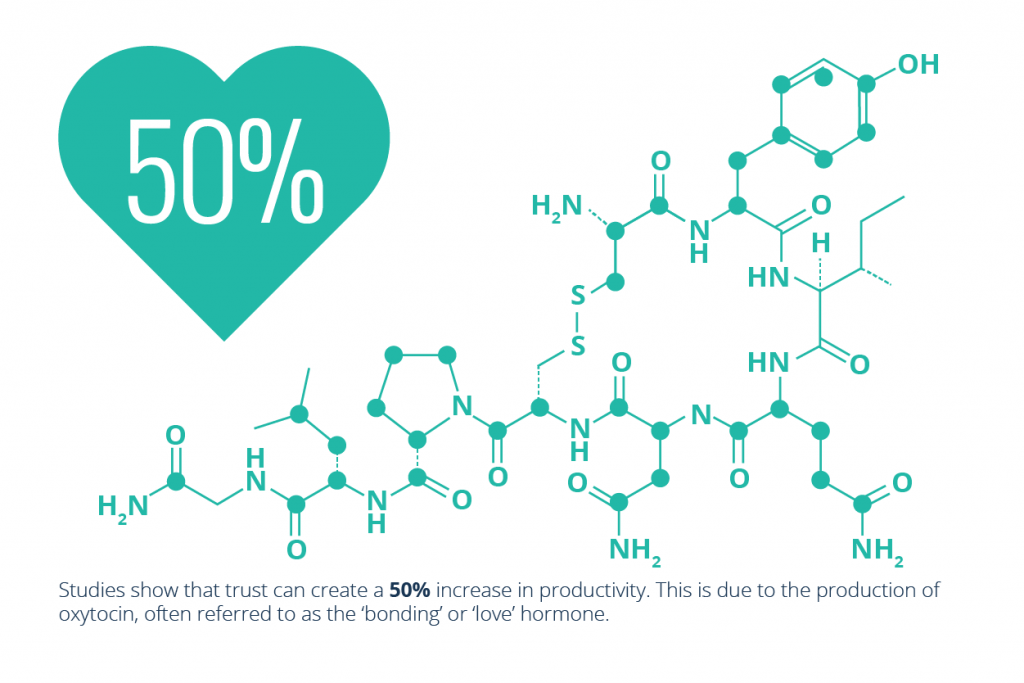 A heart with 50% in it and the diagram of oxytocin to the side. Beneath this it says the stat about the 'love hormone' in the article