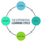 Experiential Learning: Your 'Hands-On' Guide to Learning by Experience