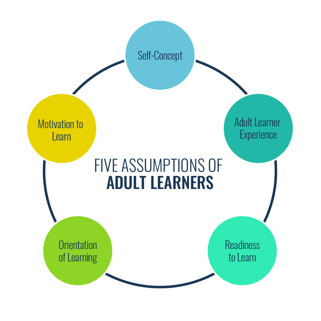 What Is Malcolm Knowles Adult Learning Theory Knowledge And Brain   Adult Learning Theory 1024x1024 