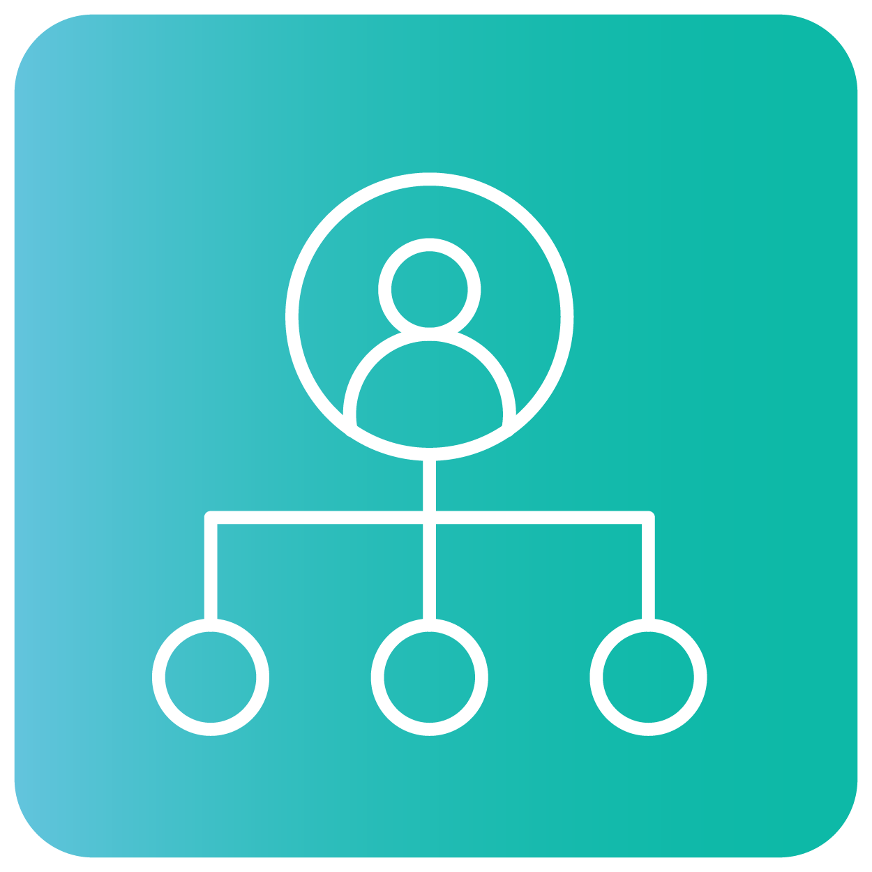 Organisation icon