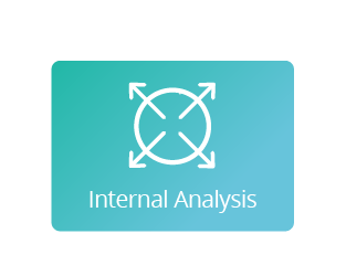 Internal Analysis